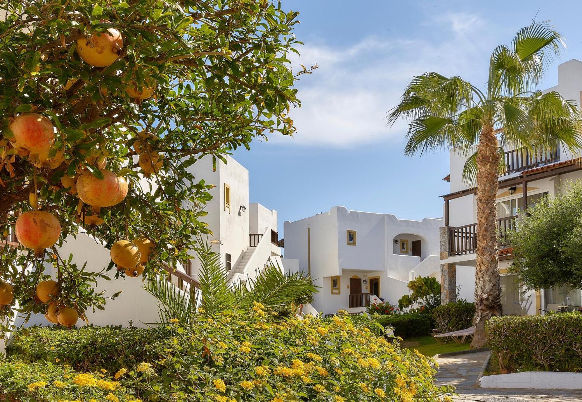 Alexander Beach Hotel&Village Resort Malia Exterior foto
