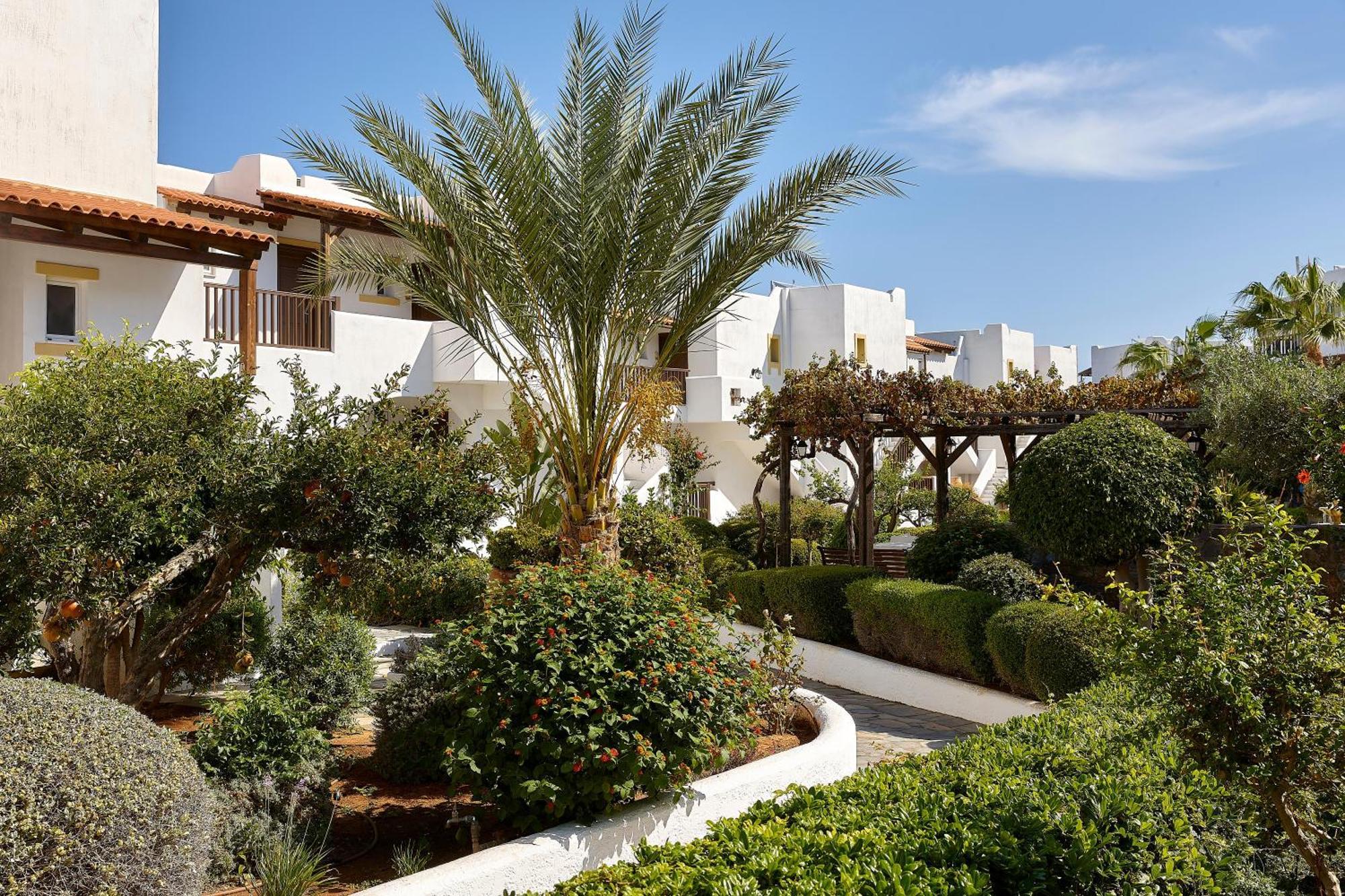 Alexander Beach Hotel&Village Resort Malia Exterior foto